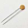 100pF Ceramic Capacitor