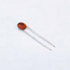 30pF Ceramic Capacitor