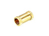 M3 x 10 Brass Threaded Inserts Nut